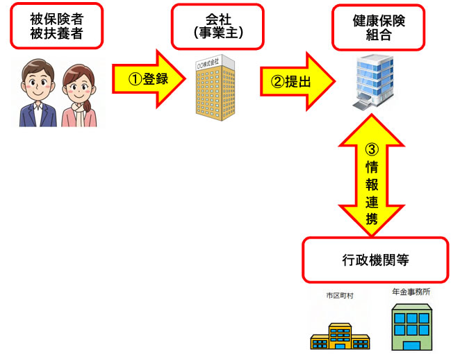 マイナンバー取得の流れ図